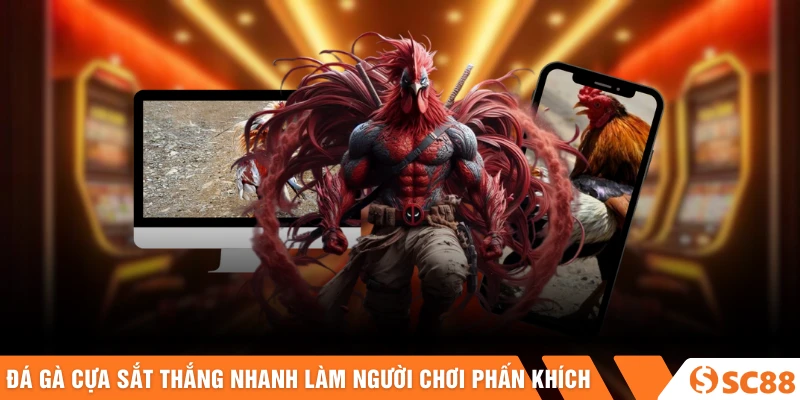 Đá gà cựa sắt thắng nhanh làm người chơi phấn khích