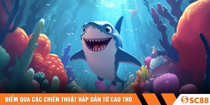 Điểm qua các chiến thuật hấp dẫn từ cao thủ