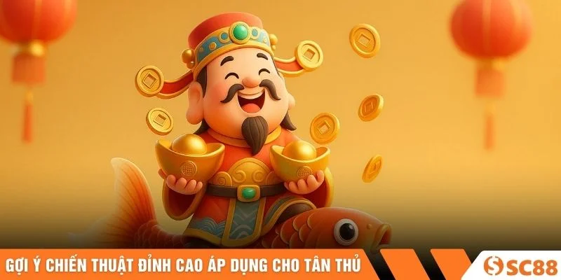 Gợi ý chiến thuật đỉnh cao áp dụng cho tân thủ